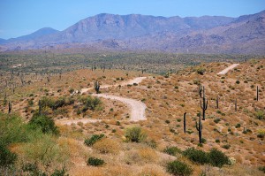 I moved for migraine and found my home in Phoenix.